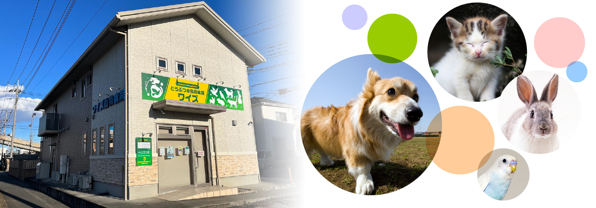 どうぶつ小鳥の病院ワイズ